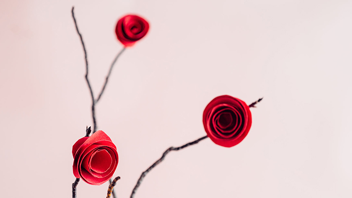 red roses, bleeding after sex during pregnancy