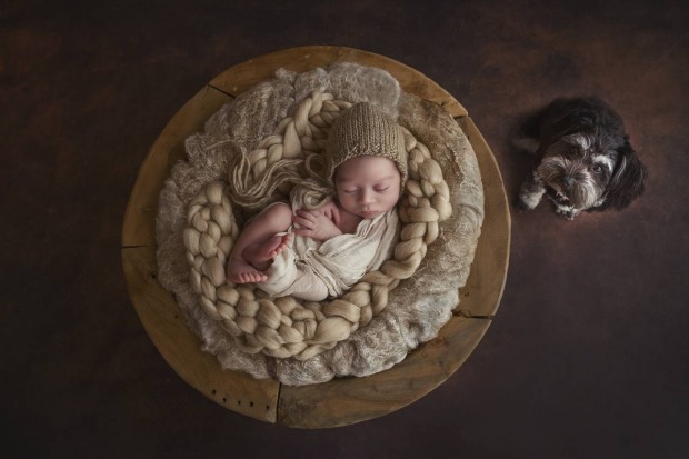 Read more about the article Newborn Photographer of the Year Awards for 2016: see all the amazing images